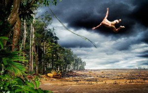 12_tarzan 12_tarzan
