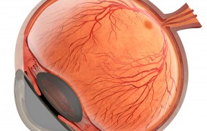 04_Eye_Master_ill 04_Eye_Master_ill
